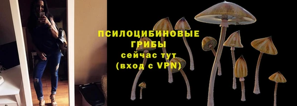 гашик Алексеевка