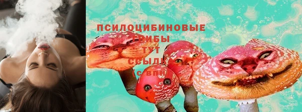 гашик Алексеевка