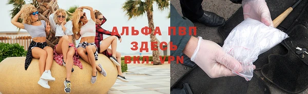 гашик Алексеевка