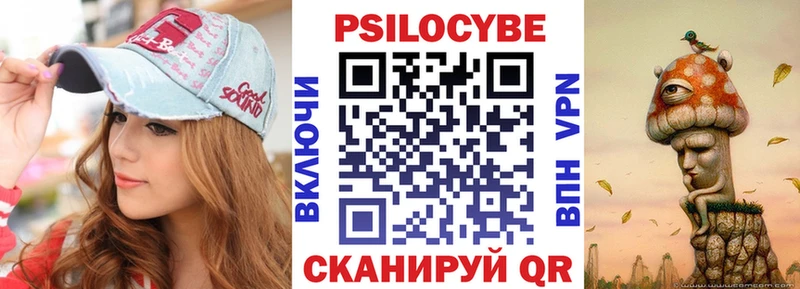 где можно купить   Каменка  Галлюциногенные грибы Cubensis 