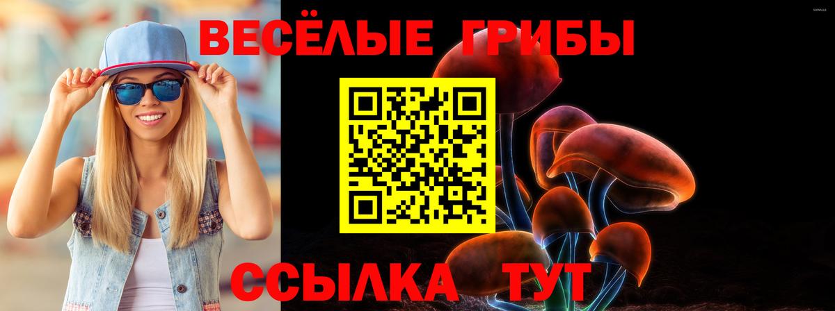 Каменка  Псилоцибиновые грибы прущие грибы  Вход с VPN 