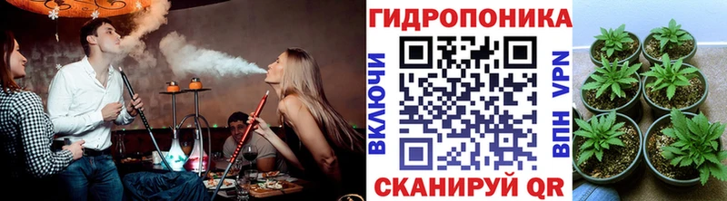 Шишки марихуана сатива Каменка