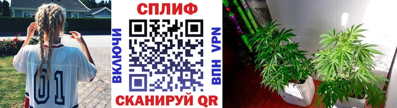 сайты даркнета клад  ссылка на мегу tor  Каменка  Конопля LSD WEED 